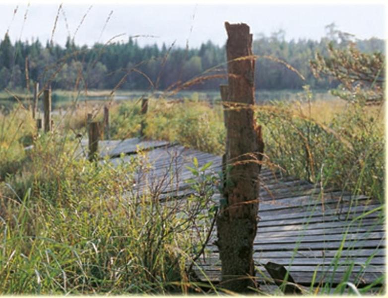 Hensbacka Herrgard Munkedal Exterior foto